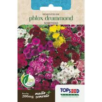Sementes Phlox Drummond Sortido Flores Jardim