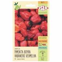 Sementes Pimenta Habanero Isla