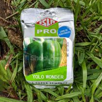 Sementes Pimentão Yolo Wonder Isla 50g Kit 10 un