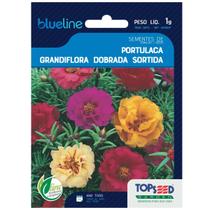 Sementes Portulaca Grandiflora (Sortida) Blueline TOPSEED