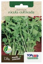 Sementes Rúcula Cultivada TOPSEED Sementes Rúcula Cultivada TOPSEED