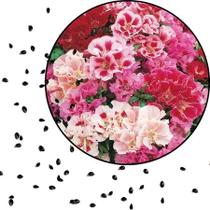 Sementes S14 Godétia Azaléia Sortida Cores Radiantes que Acalmam e Embelezam seu Espaço Tempo Sementes S14 Godétia Azaléia Sortida Cores Radiantes que Acalmam e Embelezam seu Espaço Tempo