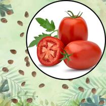 Sementes S25 Tomate Roma Italiano Molhos Caseiros Perfeitos o Ano Todo Relaxante Cultivo