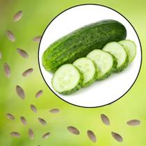 Sementes S80 Pepino Caipira O Frescor da Roça na Sua Casa Volte às Raízes do Sabor Primavera