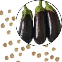 Sementes S96 Berinjela Hortaliças Cultivo Caseiro Clima tempo Sabor Fresco Colheita Abundante