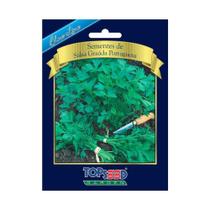 Sementes Salsa Grauda Portuguesa Topseed Garden - Danreal