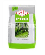 Sementes Salsa Portuguesa Grauda 500g