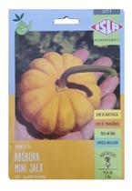 Sementes Super Abobora Mini Jack Isla