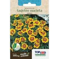 Sementes Tagetes Marieta Anão 400mg Flores Jardins Vasos