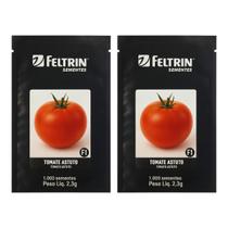 Sementes Tomate Astuto 2000 unidades Feltrin - Rendimento comercial elevado Sementes Tomate Astuto 2000 unidades Feltrin - Rendimento comercial elevado