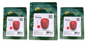 Sementes Tomate Dante Kit com 3 Pacotes de 1000 Cada Sementes Tomate Dante Kit com 3 Pacotes de 1000 Cada