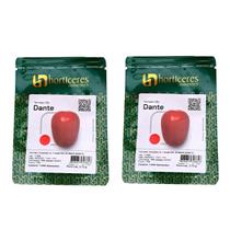 Sementes Tomate Híbrido Dante Kit com 2 Pacotes Sementes Tomate Híbrido Dante Kit com 2 Pacotes
