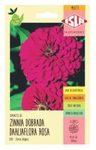 Sementes Zinnia Dahliaflora Rosa Gigante Da Califórnia ISLA Sementes Zinnia Dahliaflora Rosa Gigante Da Califórnia ISLA