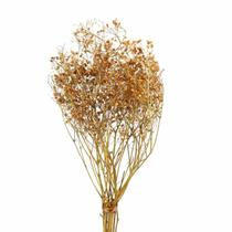 Sementinha Amarela Desidratada p/ Decoração Sementinha Amarela Desidratada p/ Decoração