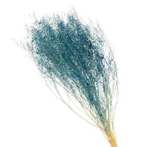 Sementinha Azul Desidratada p/ Decoração