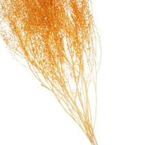 Sementinha Laranja Desidratada p/ Decoração