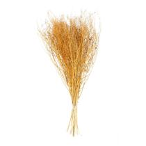 Sementinha Laranja Flores Secas Decorar Presente