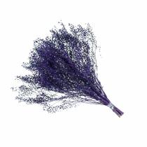 Sementinha Lilás Desidratada p/ Decoração