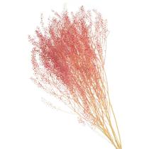 Sementinha Rosa Desidratada p/ Decoração