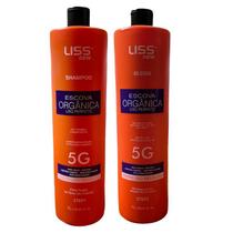 Semi Definitiva 100% Organica Kit De 1 Kg Liss Care