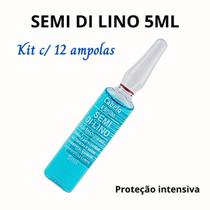 Semi Di Lino 5ml Cabelo E Brilho Arovitel Kit C/ 12 Ampolas