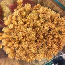 Sempre Viva Espetinho Natural I Flores Desidratadas