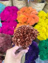 Sempre Viva Flor Natural Desidratada Marrom