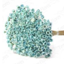 Sempre Viva flores Desidratada - Pense Flores