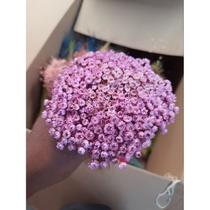 Sempre Viva Na Cor Lilás 600