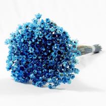 Sempre Vivas Azul Lembrança, Decoração 600 Flores