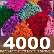 Sempre Vivas COLORIDAS - 4000 unidades