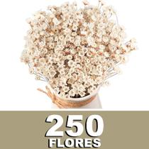 Sempre vivas COLORIDAS EXTRA, kit com 250 flores para casamento