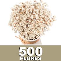 Sempre vivas COLORIDAS EXTRA, kit com 500 flores para casamento