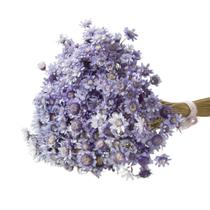 Sempre Vivas Lilás Lembrança, Decoração 600 Flores