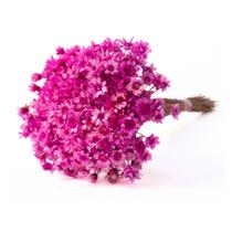 Sempre Vivas Rosa Forte Lembrança, Decoração 600 Flores