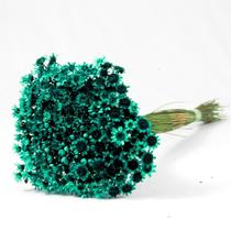 Sempre Vivas Verde Lembrança, Decoração 600 Flores