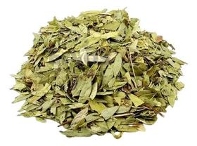 Sene Folhas (senna Alexandrina) 1kg Laxativo Natural