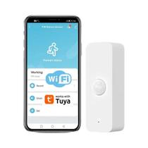 Sensor De Movimento PIR WiFi Para Casa Inteligente, Detector Infravermelho Compatível Com Alexa,