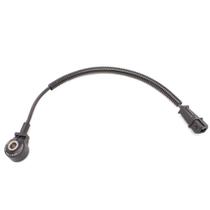 Sensor Detonação Ram 700 Grand Siena 1.6 Argo Cronos Toro Renegade Strada 1.8 Palio 1.6 Após 2010 2 Vias - DS2120