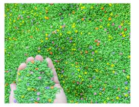 Sensory Bin Filler Sensory-N-Stuff Colorido Rice 4 xícaras