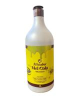 Ser Mulher Mel cola - Ativador de Cachos 1L