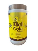 Ser Mulher - Mel cola para Cachos Naturais e Orgânicos 1Kg