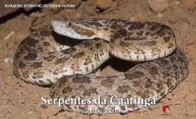 Serpentes da caatinga guia ilustrado - PONTO A EDITORA Serpentes da caatinga guia ilustrado - PONTO A EDITORA