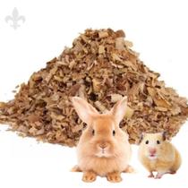 Serragem Pet Bed Maravalha De Pinus Em Flocos Secos 1 Kg - Ea Decor