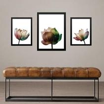 Set 3 Quadros Flores Minimalistas - Fotografias - Com Vidro