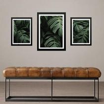 Set 3 Quadros Folhas - Costela De Adão - Com Vidro Set 3 Quadros Folhas - Costela De Adão - Com Vidro