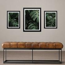 Set 3 Quadros Folhas - Costela De Adão - com vidro Set 3 Quadros Folhas - Costela De Adão - com vidro