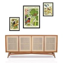 Set 3 Quadros Pássaros Flores E Frutas - Com Vidro