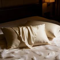 Set de 2 Almohadas BHZ King Size con Fundas de Satén Beige