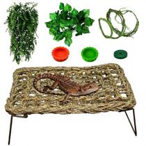 Set de Accesorios para Terrario QWR - Hamaca y Escalera para Dragón Barbudo